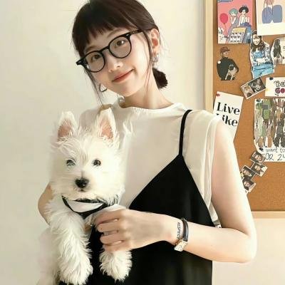 萌犬流浪记