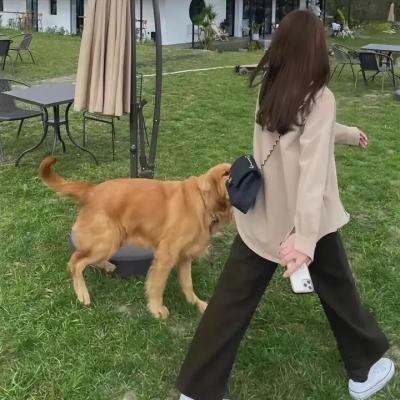 阁楼里的花